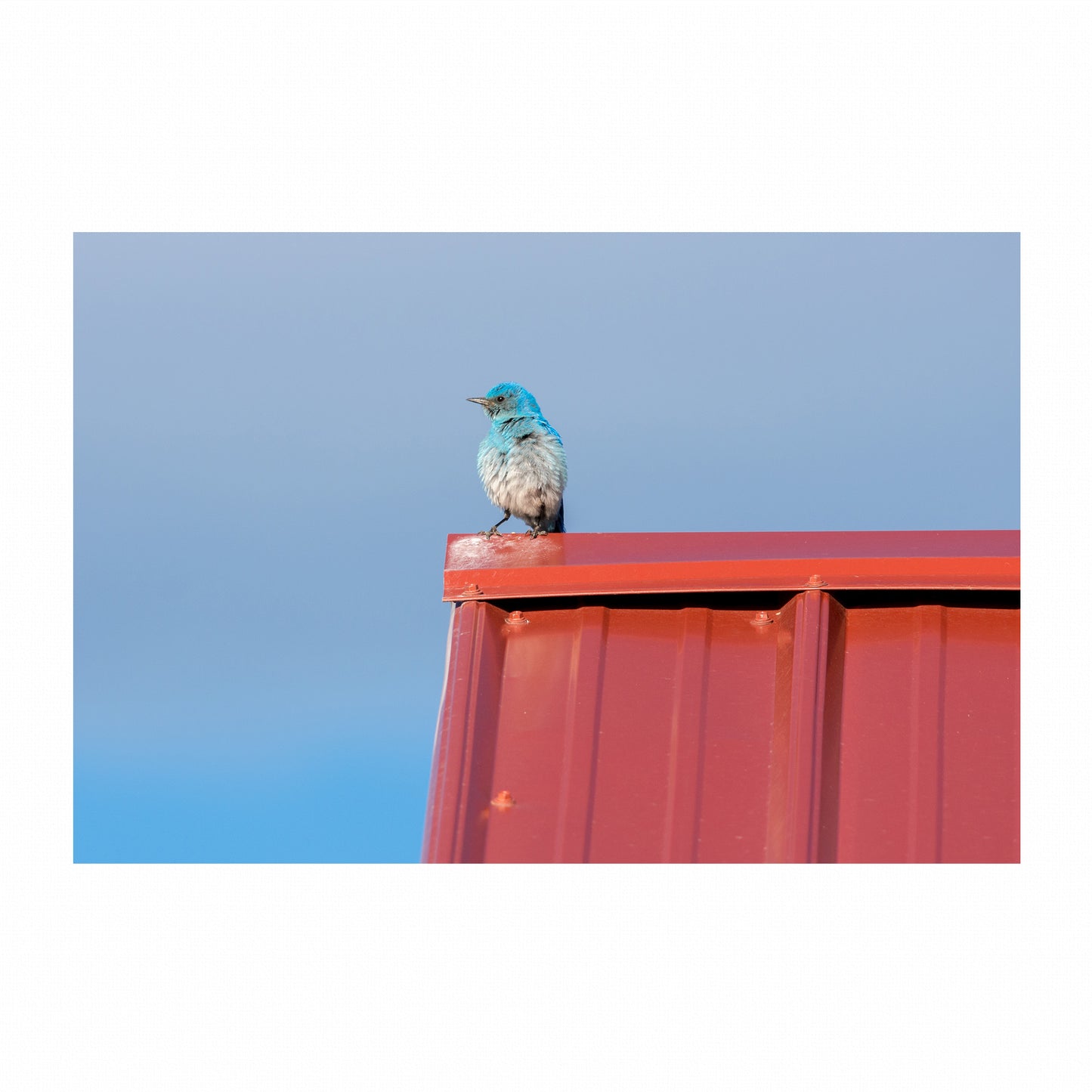 Fine Art Photography Prints