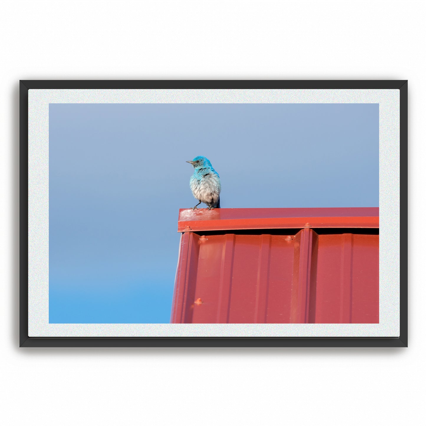 Fine Art Photography Prints