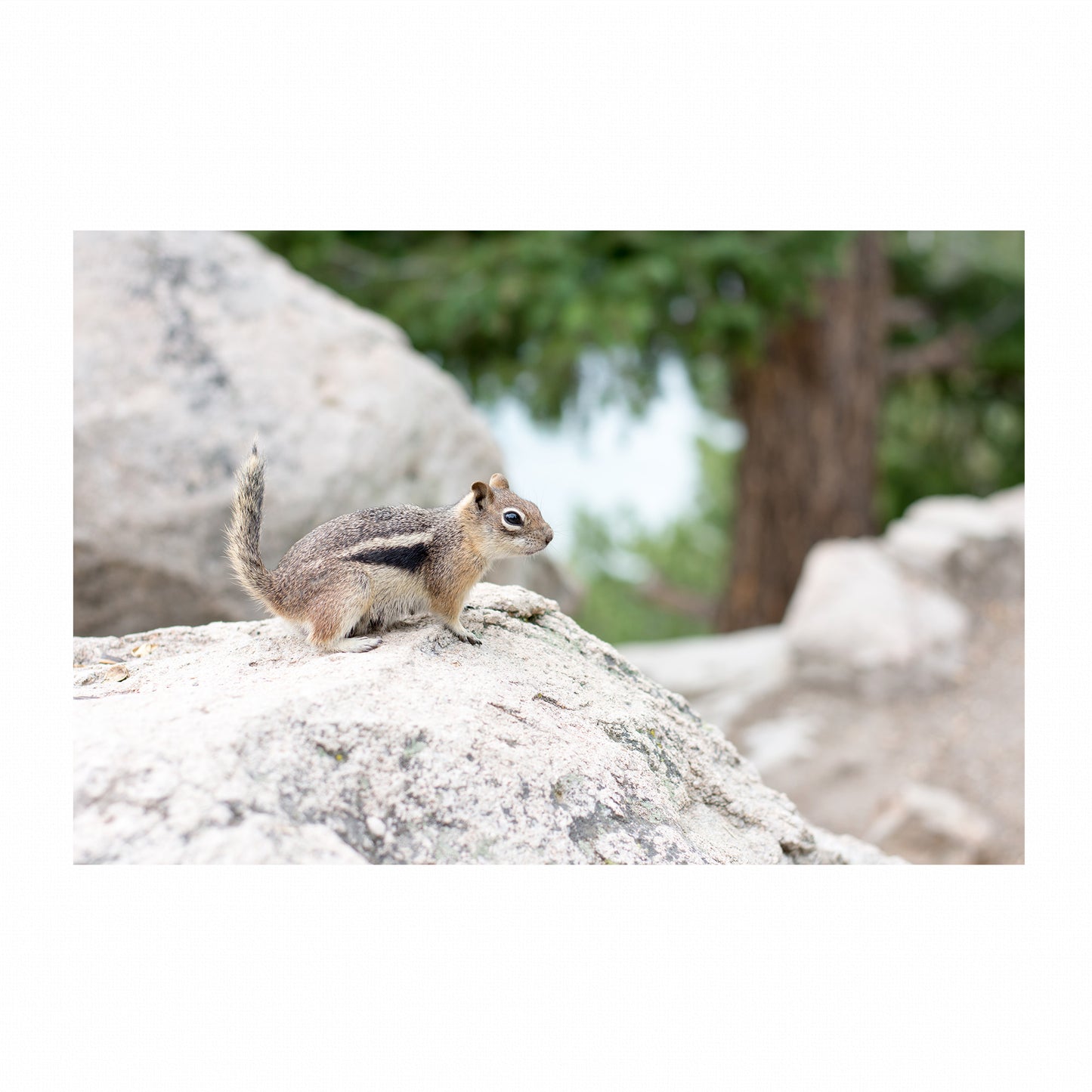 Fine Art Photography Prints