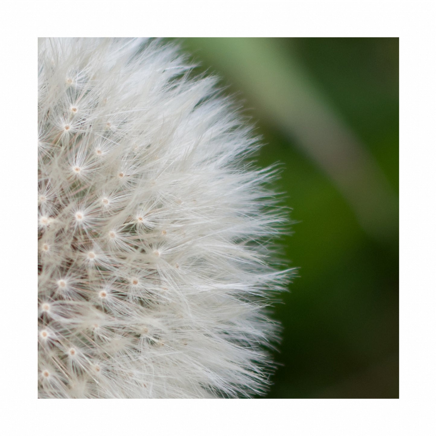 Fine Art Photography Prints