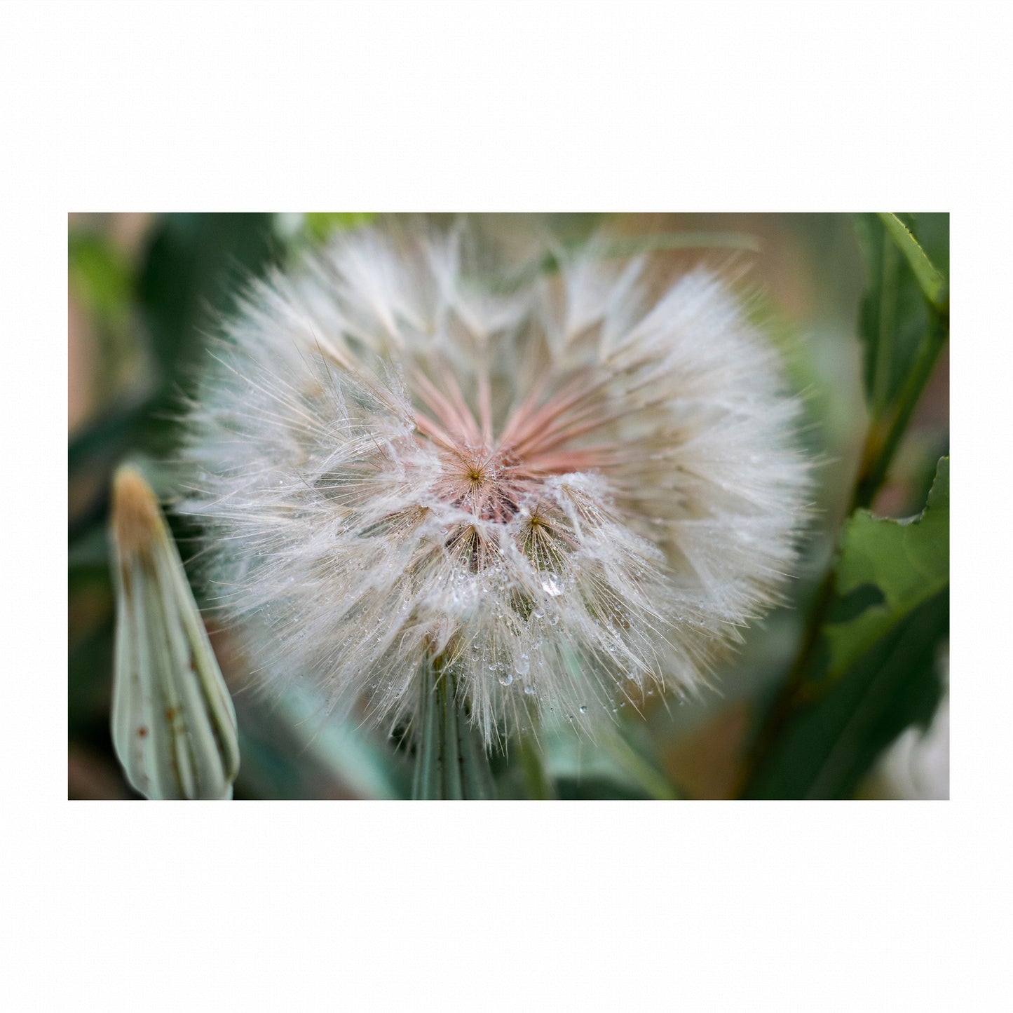 Fine Art Photography Prints