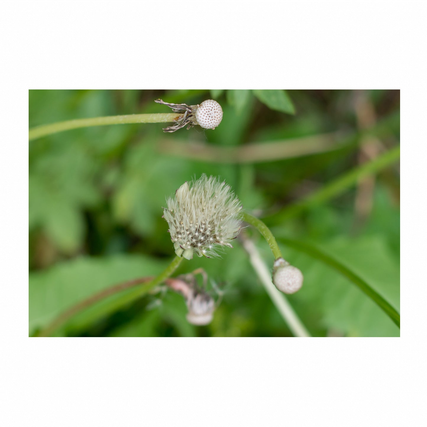 Fine Art Photography Prints