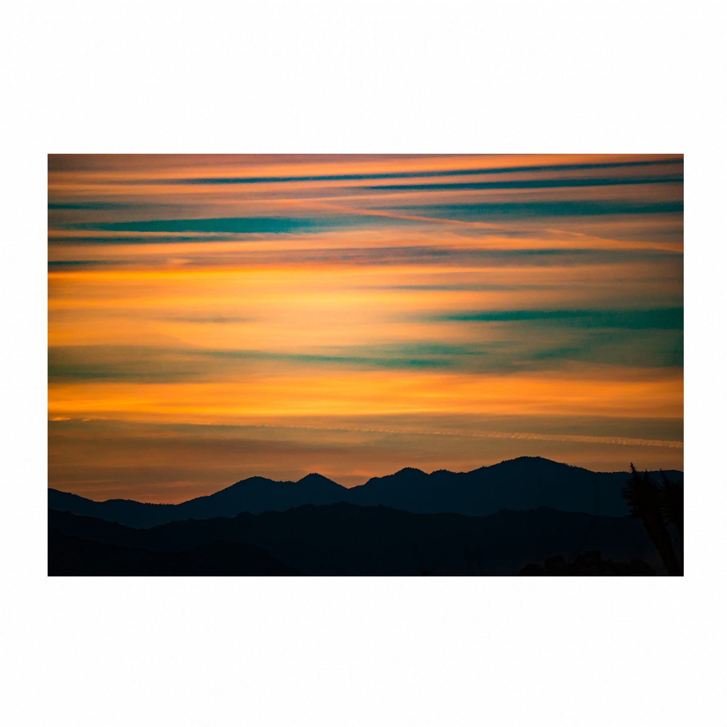 Fine Art Photography Prints