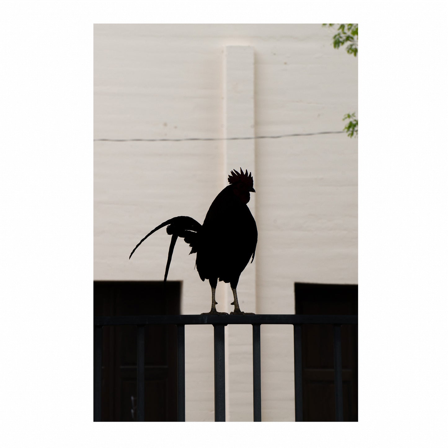 Fine Art Photography Prints