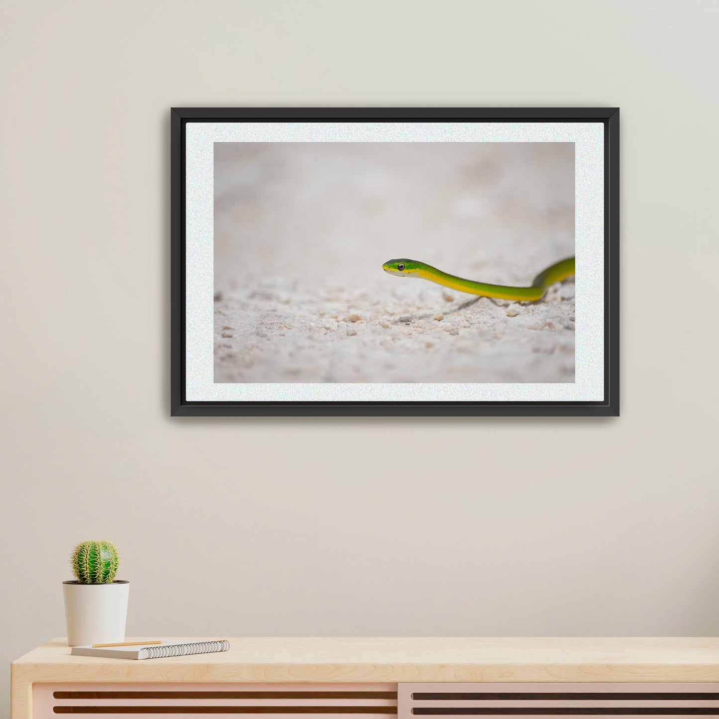 Silent Glide | Framed Fine Art