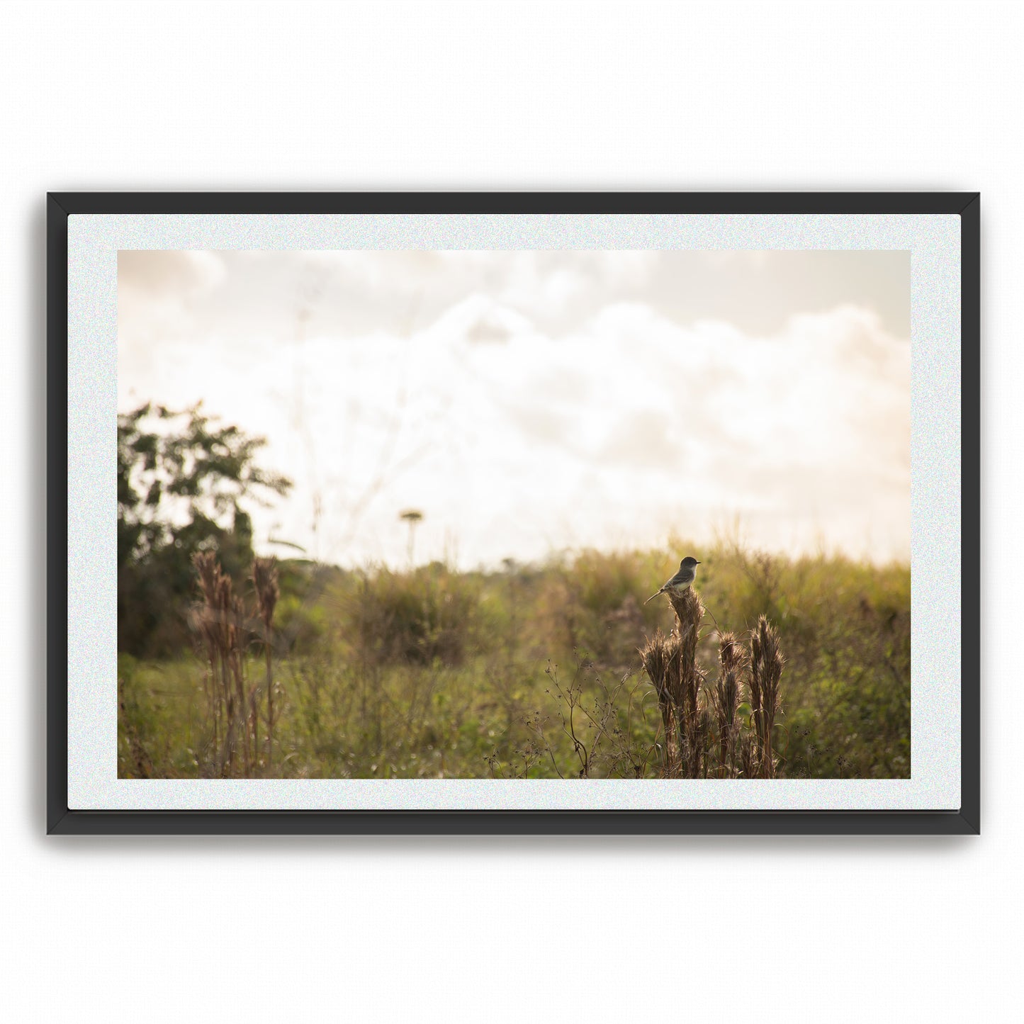 Fine Art Photography Prints