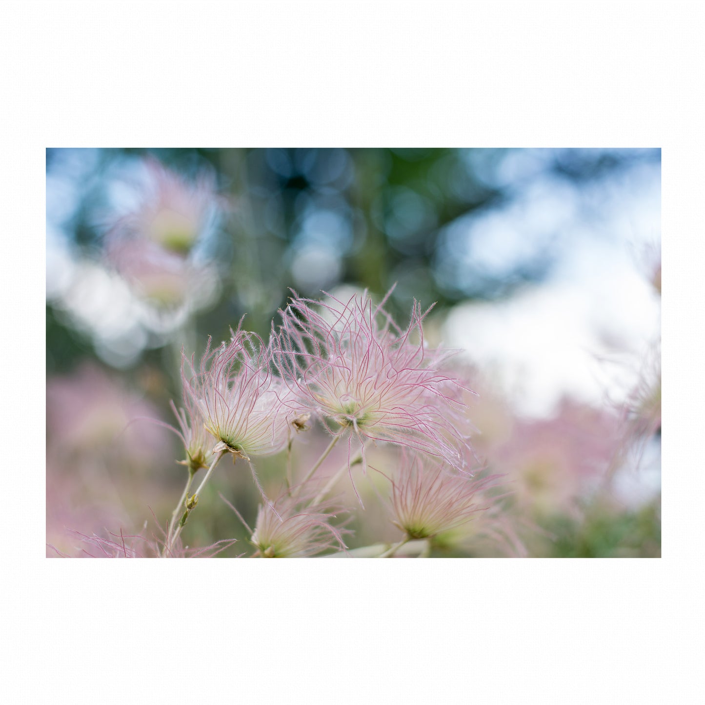 Fine Art Photography Prints