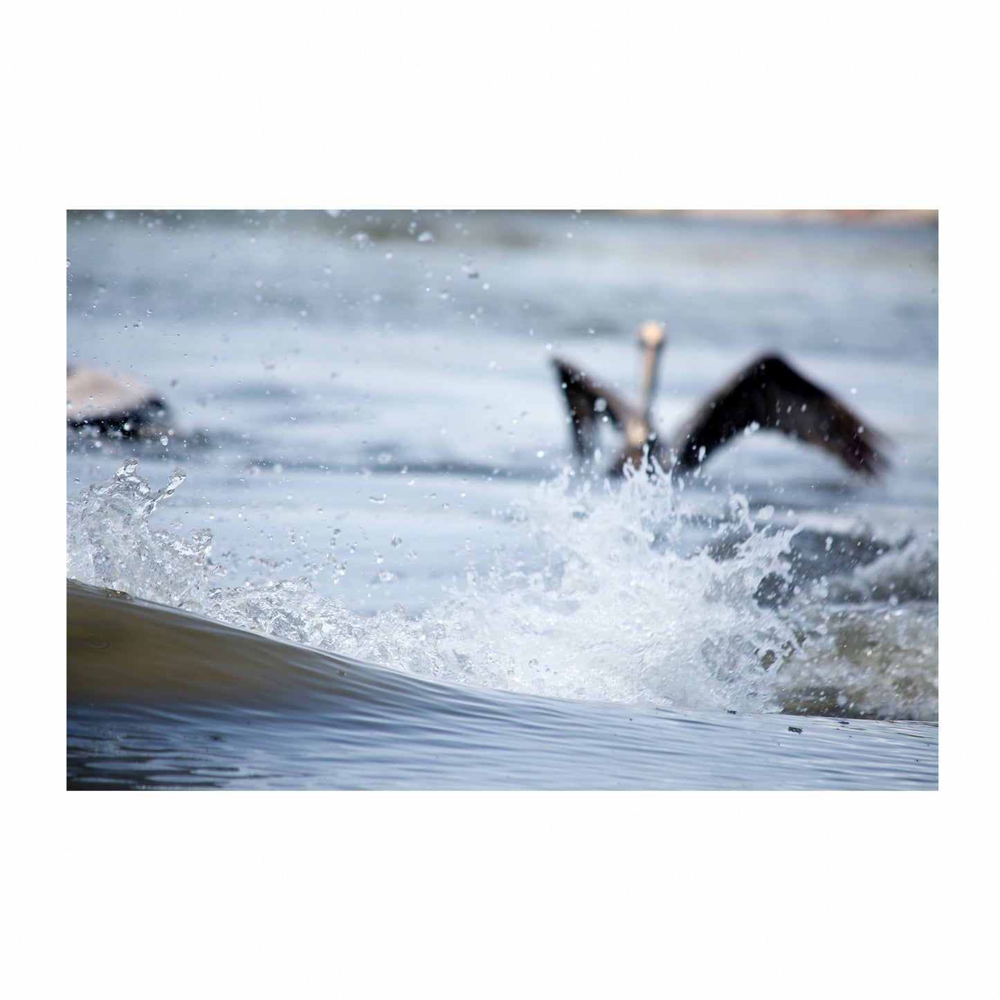 Fine Art Photography Prints