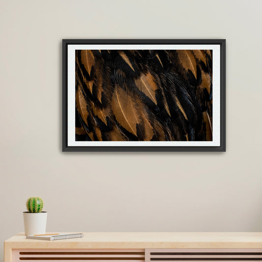 Patterns of Flight | Framed Fine Art