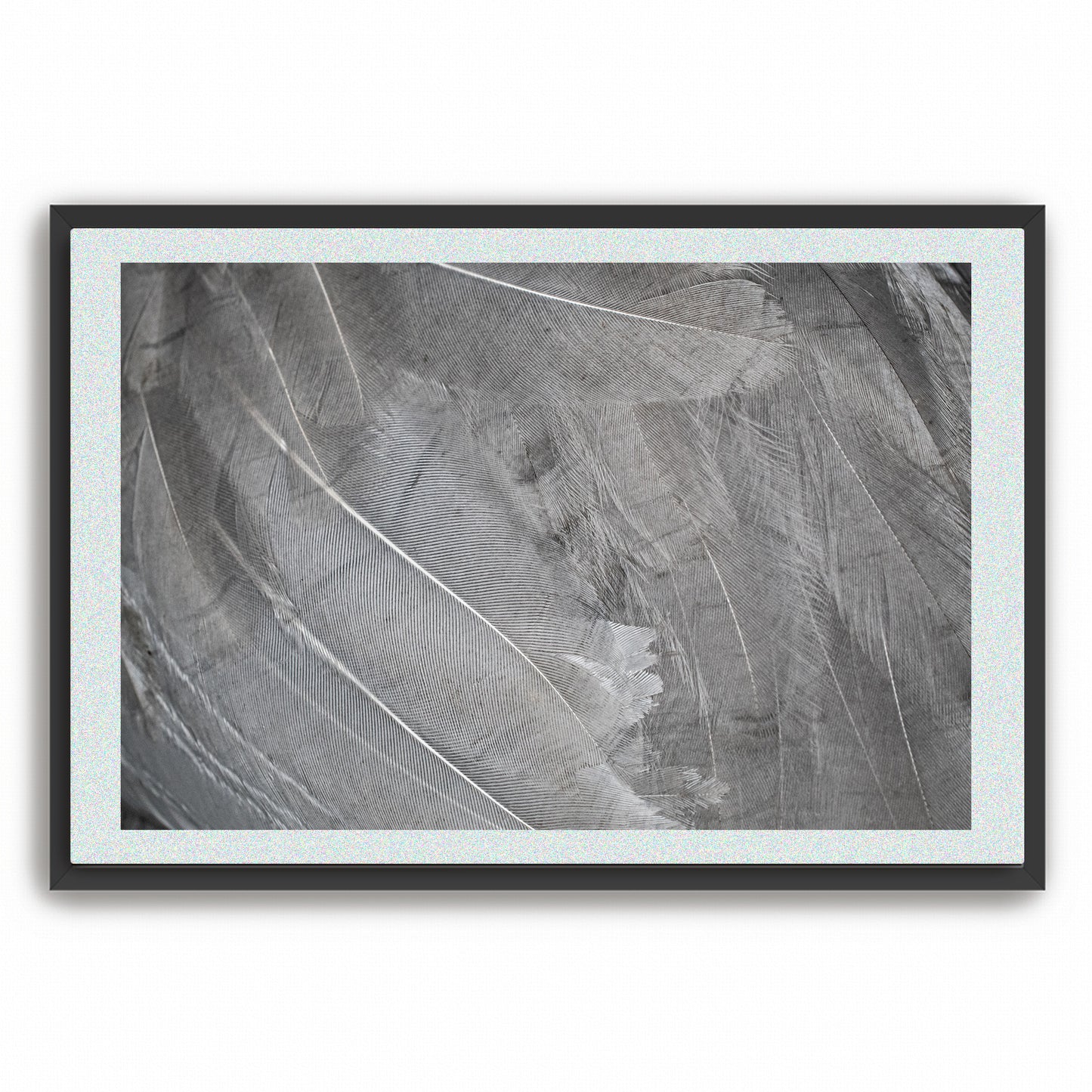 Whispers in Silver | Framed Fine Art