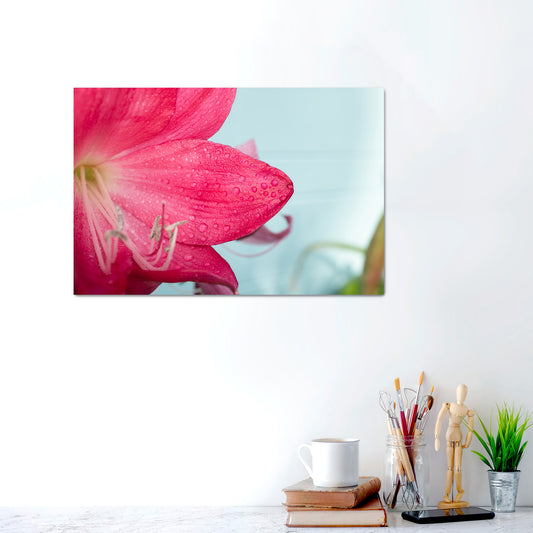 Petal & Sky | Metal Prints
