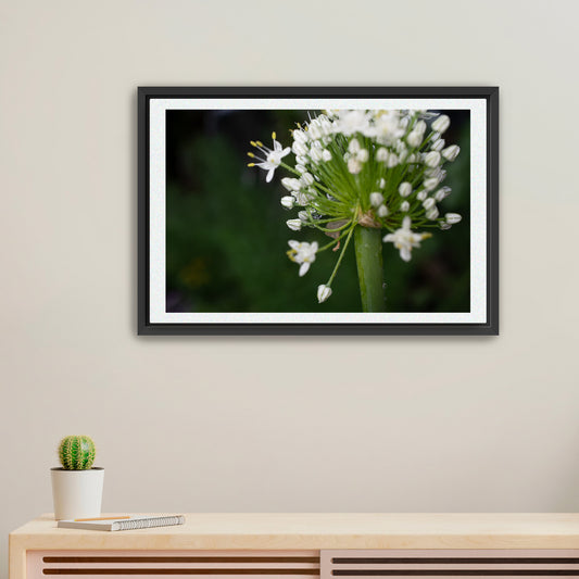 Raindrop Reverie | Framed Fine Art
