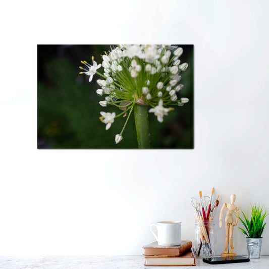 Raindrop Reverie | Canvas