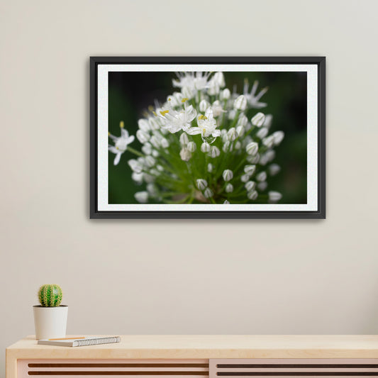 Crystal Moment | Framed Fine Art