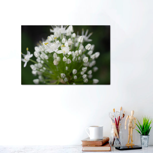 Crystal Moment | Canvas