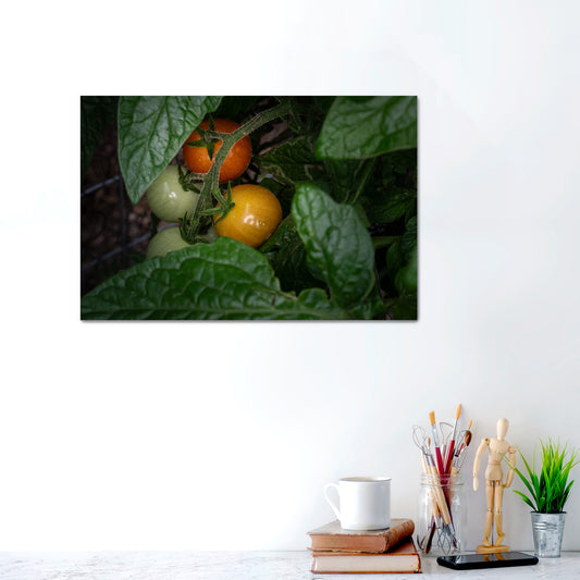 Ripening in Silence | Metal Prints