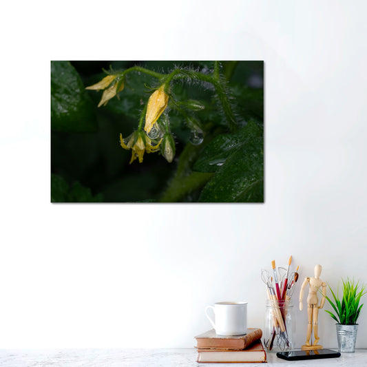 Cradled in Rain | Metal Prints