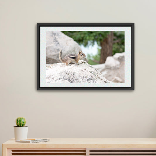 Nature’s Little Explorer | Framed Fine Art