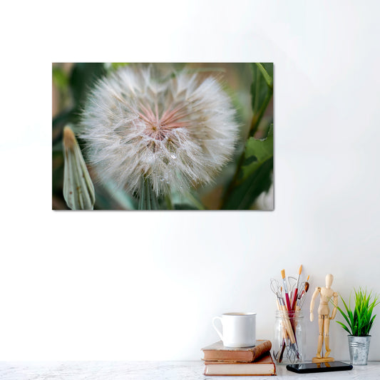 Morning Dew Dreams | Canvas