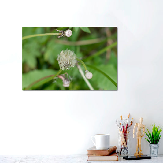 Whispers of Time | Metal Prints