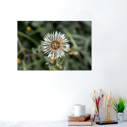 Fragile Beauty | Metal Prints