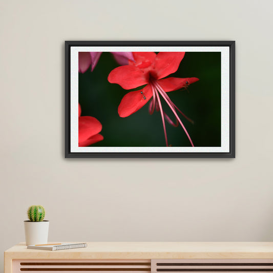 Tiny Travelers | Framed Fine Art