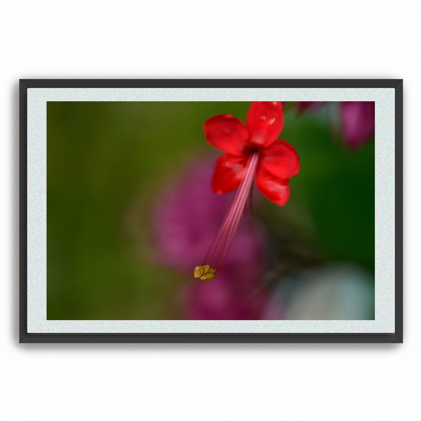 Thread of Flame | Framed Fine Art