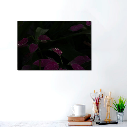 Midnight Petals | Canvas