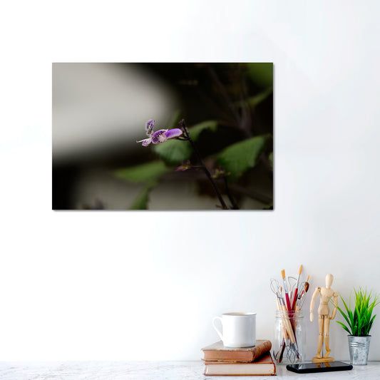Echo in Lavender | Canvas