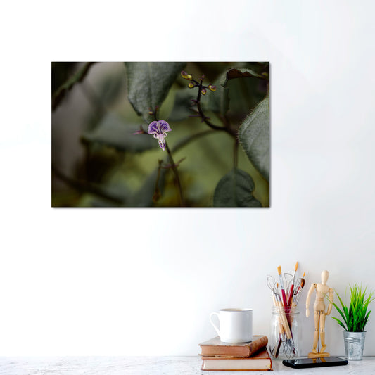 Solitary Grace | Canvas