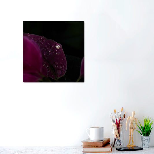 Velvet Rain | Canvas