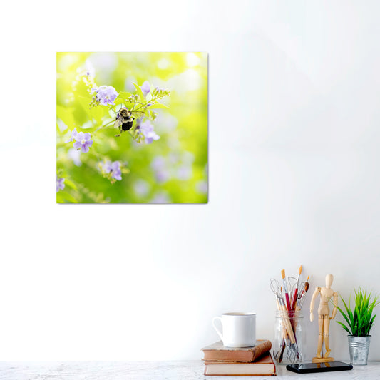 Buzz in Bloom | Canvas