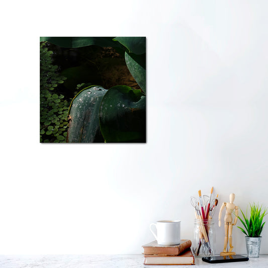 Still Waters, Silent Light | Canvas