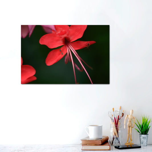 Tiny Travelers | Metal Prints
