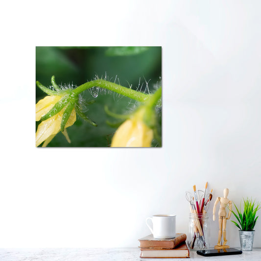 The Hanging Note | Canvas