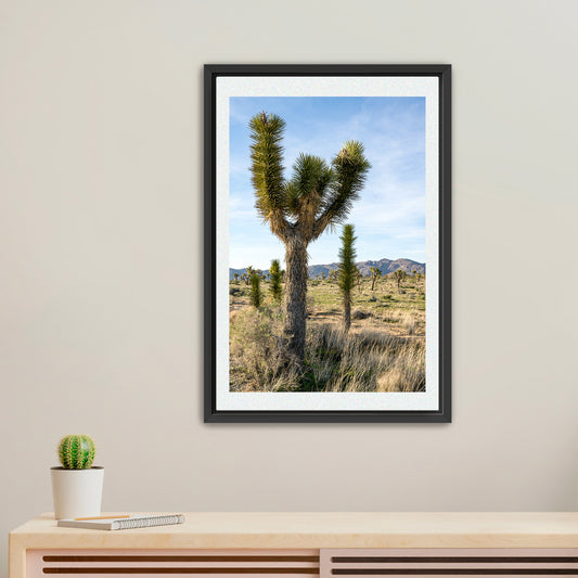 Joshua Tree | Framed Fine Art