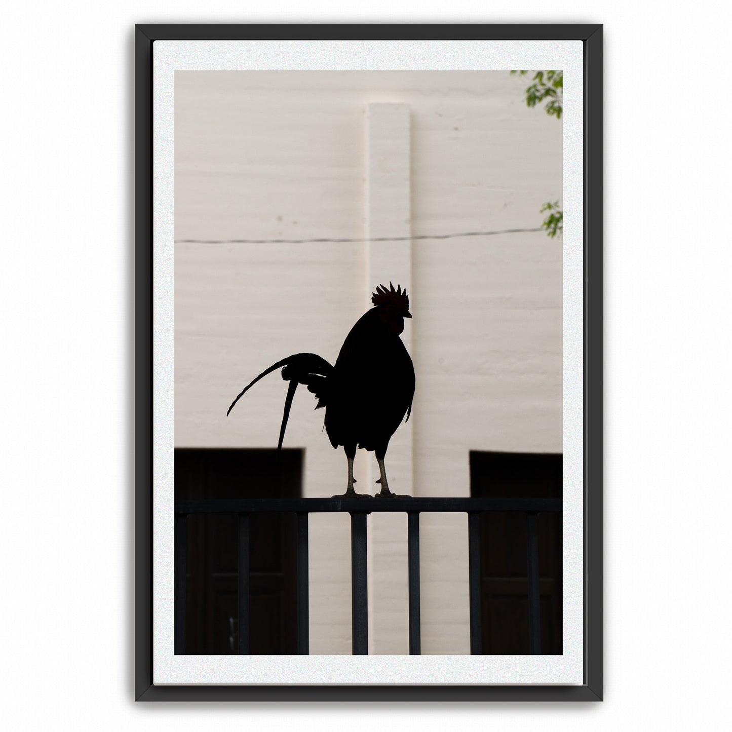 The Sentinel | Framed Fine Art