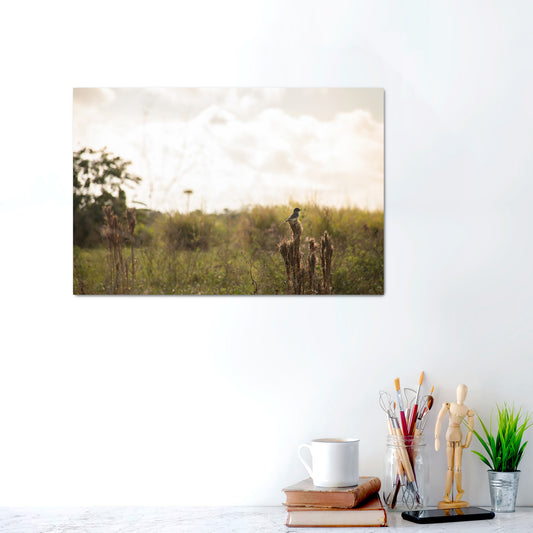 Serenity’s Perch | Canvas