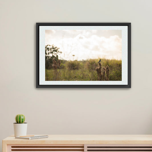 Serenity’s Perch | Framed Fine Art