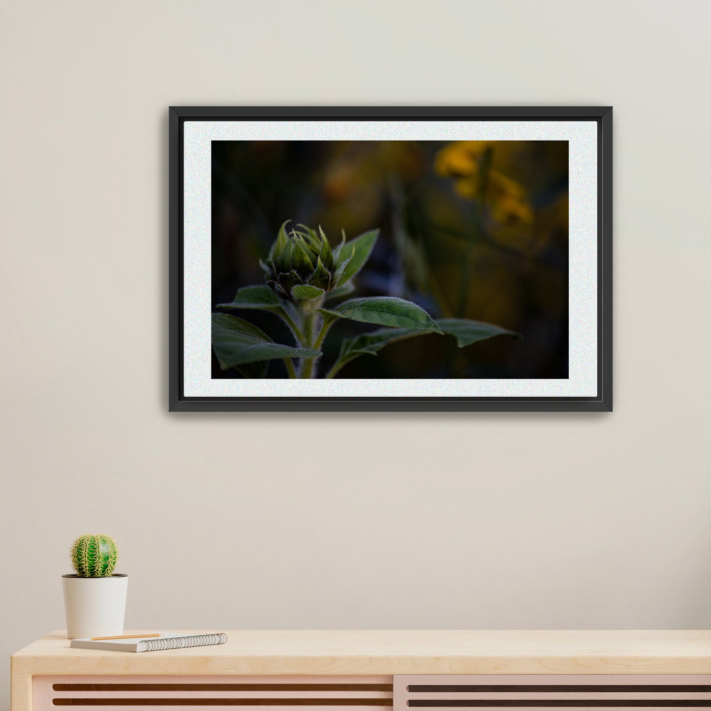 Emerging Light | Framed Fine Art