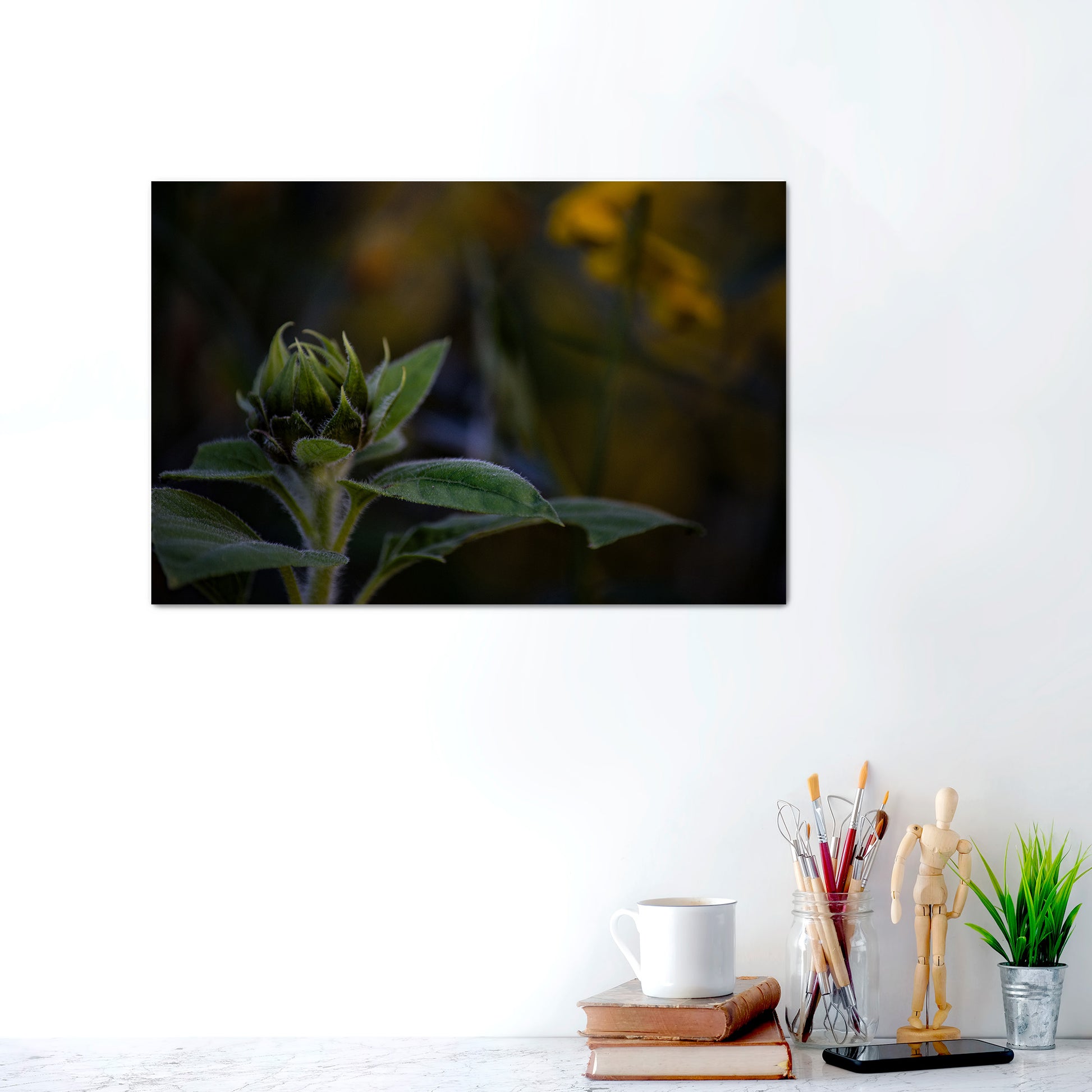 Fine Art Photography Prints