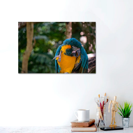 Tropical Charmer | Canvas