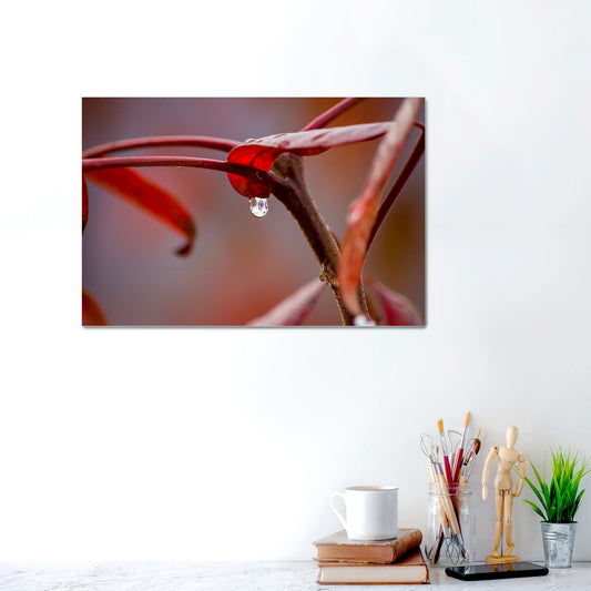 Crimson Serenity | Metal Prints