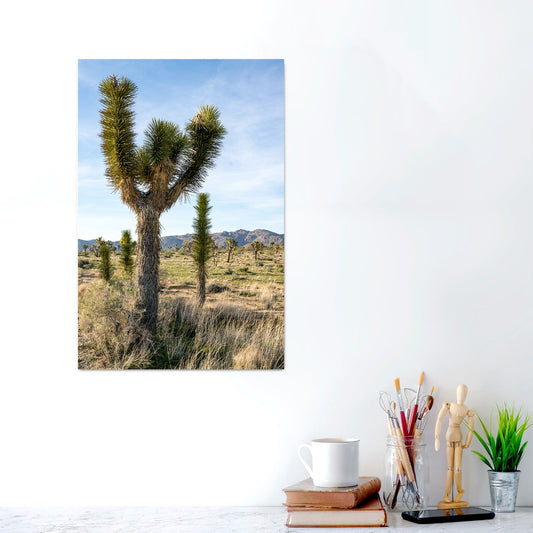 Joshua Tree | Metal Prints